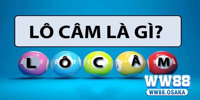 Lô Câm WW88 – Khám Phá Cách Xác Định Hiệu Quả, Nhanh Chóng
